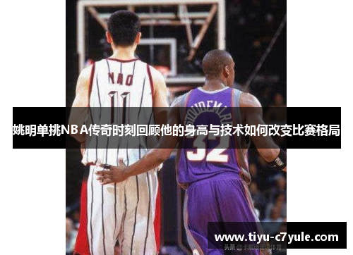 姚明单挑NBA传奇时刻回顾他的身高与技术如何改变比赛格局